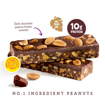 Dark Chocolate Peanut Protein Bars (15 bars)