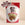 Mini Milk Chocolate Peanut Butter Cups | Share Bag
