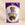 Mini Peanut Butter Cup Bundle